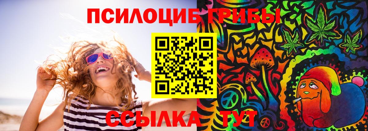 Псилоцибиновые грибы GOLDEN TEACHER  Вход с VPN  как найти   Калач-на-Дону  Псилоцибиновые грибы мухоморы 
