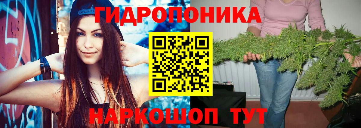 Шишки марихуана OG Kush  Бошки марихуана конопля  Вход с VPN  Марихуана White Widow  Шишки марихуана VHQ  Калач-на-Дону 